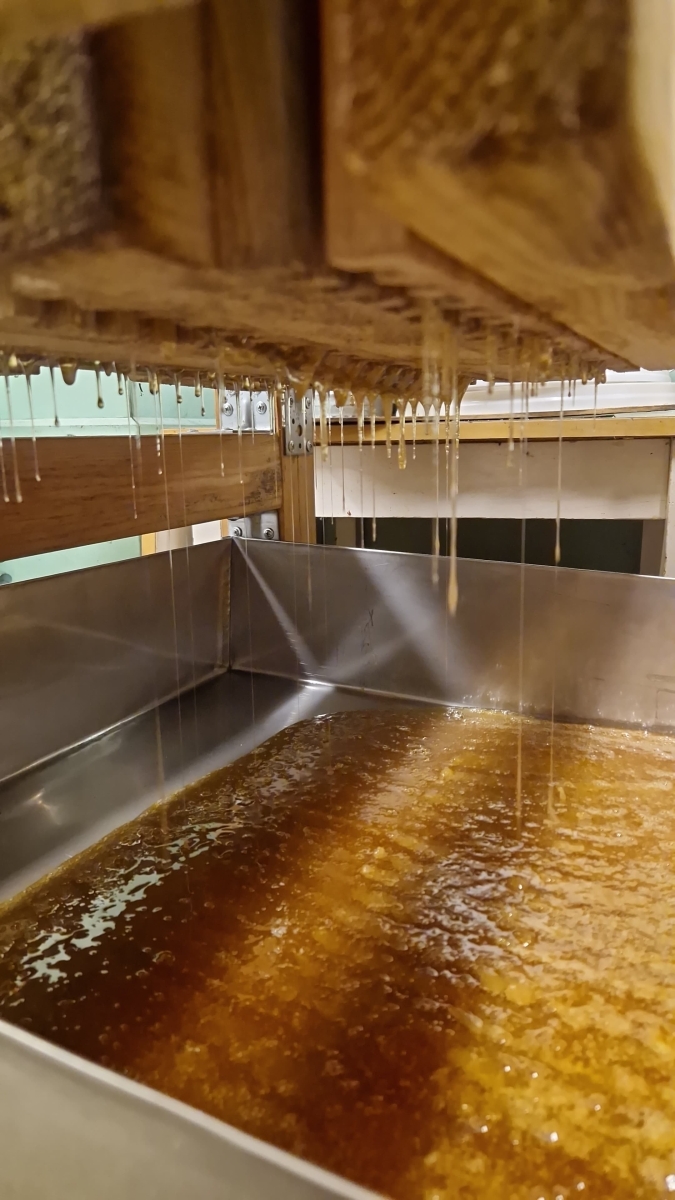 Viršu ziedu medus izspiešanas process