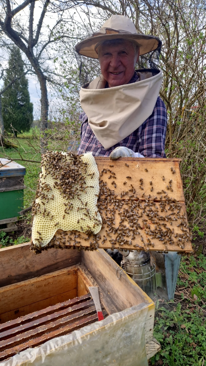 Biškopis Almants Štelcs dravojot 2025. gada aprīlī.