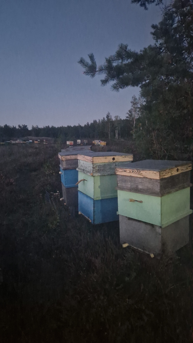 Bišu stropu pārvietošana naktī.